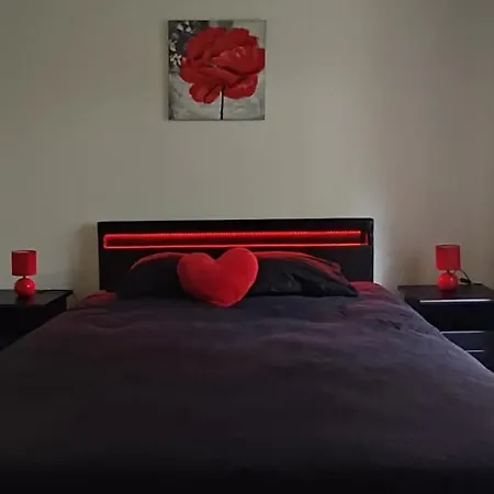 Apartman Logement Cosy Et Spacieux, A 2 Pas Du Centre-ville Colmar